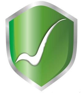 互聯網藥品信息服務管理辦法 規范網絡平臺，保障公眾用藥安全