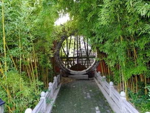 竹園 給你清涼一夏——旅游開發(fā)項目策劃咨詢報告