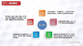 張家界龜仙谷旅游景區(qū)開發(fā)項目商業(yè)計劃書——創(chuàng)新生態(tài)旅游與可持續(xù)開發(fā)戰(zhàn)略